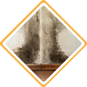 Fort Lauderdale Restoration Expert, Fort Lauderdale, FL 954-363-0411 - sb-ser-03