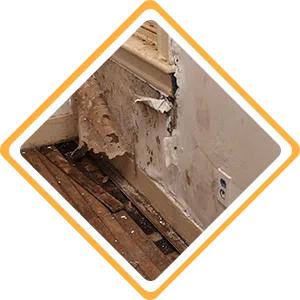 Fort Lauderdale Restoration Expert, Fort Lauderdale, FL 954-363-0411 - sb-ser-04